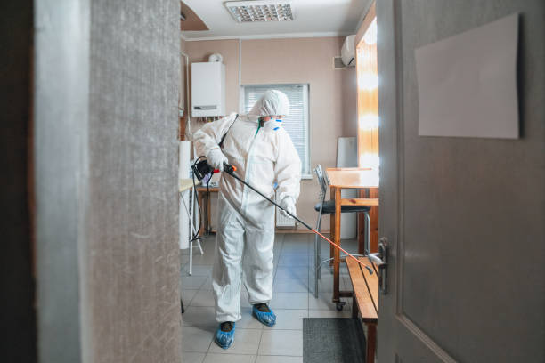 Asbestos and Lead Testing During Mold Inspection in South Burlington, VT